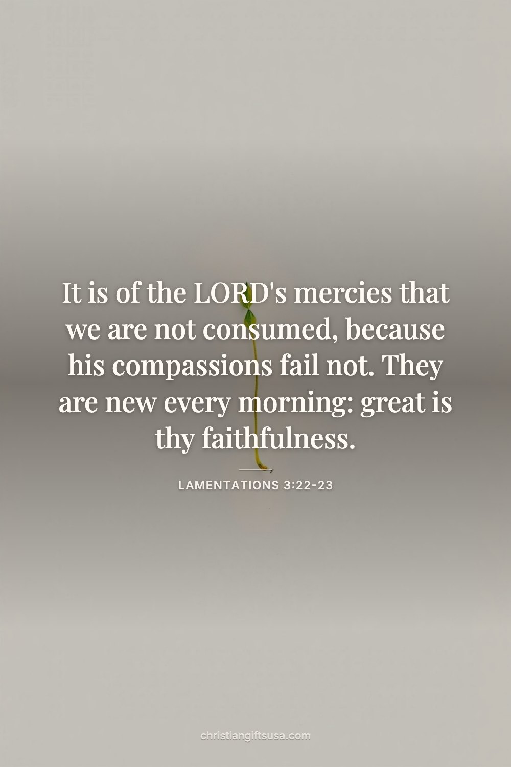 Lamentations 3:22-23 wallpaper