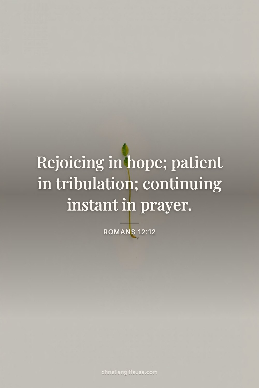 Romans 12:12 wallpaper
